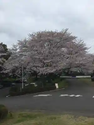 水神神社の景色