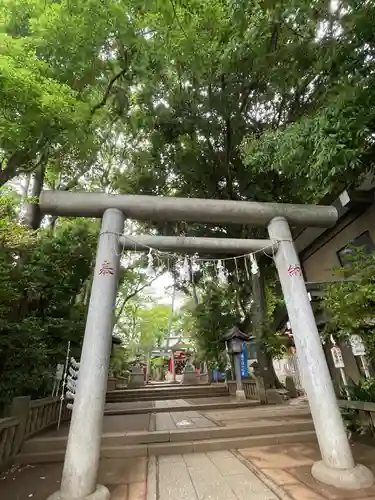 赤堤六所神社の鳥居
