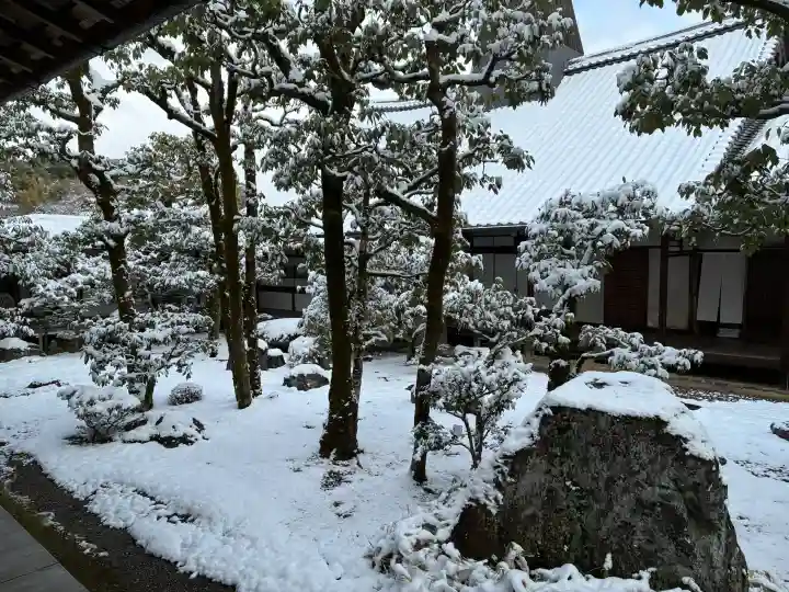 三宝院(三宝院門跡)の{uncategorized: "未分類", other: "その他", undefined: "問題あり", building: "その他建物", grave: "お墓", sacred_gate: "鳥居", guardian: "狛犬", statue: "像", buddha: "仏像", history: "歴史", nature: "自然", garden: "庭園", animal: "動物", pagoda: "塔", temizu: "手水舎", mountain_gate: "山門・神門", sanctuary: "本殿・本堂", subordinate: "末社・摂社", art: "芸術", scenery: "景色", jizo: "地蔵", ema: "絵馬", goshuin: "御朱印", omikuji: "おみくじ", items: "授与品その他", amulet: "お守り", goshuincho: "御朱印帳", eats: "食事", festival: "お祭り", votive_dance: "神楽", shichigosan: "七五三参", wedding: "結婚式", experience: "体験その他", initially: "初詣", around: "周辺", anti_infection: "感染症対策"}