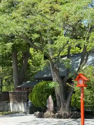 玉村八幡宮(群馬県)