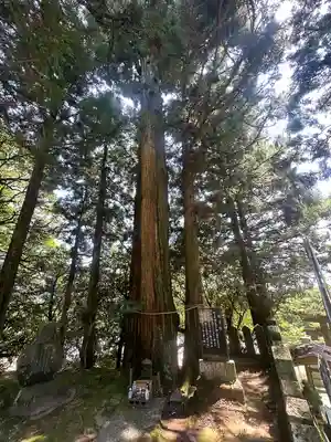 諭鶴羽神社(兵庫県)