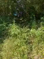 薬師如来の周辺