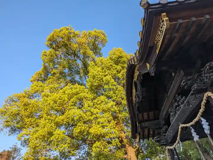 三津厳島神社(愛媛県)