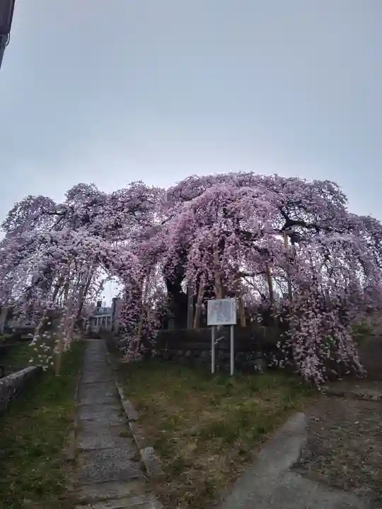 日輪寺(福島県)