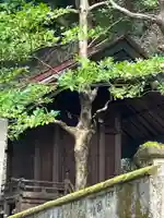 桃太郎神社(栗栖)(愛知県)