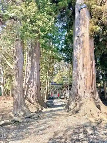 八坂神社の{uncategorized: "未分類", other: "その他", undefined: "問題あり", building: "その他建物", grave: "お墓", sacred_gate: "鳥居", guardian: "狛犬", statue: "像", buddha: "仏像", history: "歴史", nature: "自然", garden: "庭園", animal: "動物", pagoda: "塔", temizu: "手水舎", mountain_gate: "山門・神門", sanctuary: "本殿・本堂", subordinate: "末社・摂社", art: "芸術", scenery: "景色", jizo: "地蔵", ema: "絵馬", goshuin: "御朱印", omikuji: "おみくじ", items: "授与品その他", amulet: "お守り", goshuincho: "御朱印帳", eats: "食事", festival: "お祭り", votive_dance: "神楽", shichigosan: "七五三参", wedding: "結婚式", experience: "体験その他", initially: "初詣", around: "周辺", anti_infection: "感染症対策"}