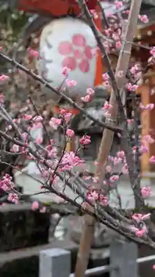 長岡天満宮の自然