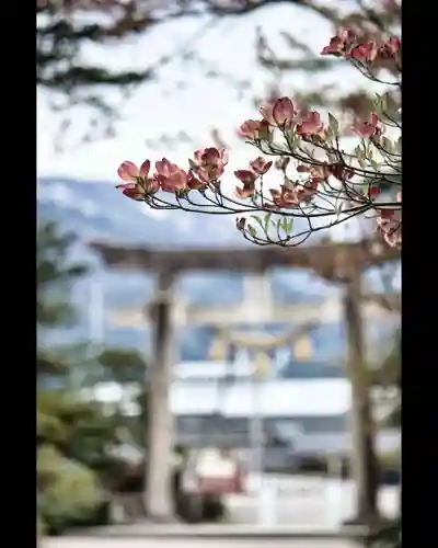 越中一宮 髙瀬神社の鳥居