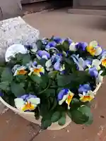 伏木香取神社(茨城県)