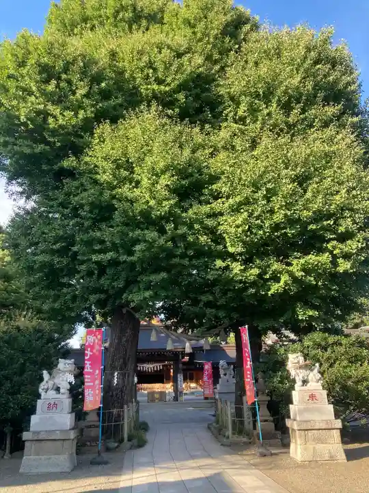 亀ケ池八幡宮(神奈川県)
