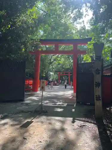 河合神社（鴨川合坐小社宅神社）の鳥居