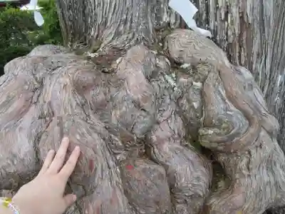 中禅寺のその他建物