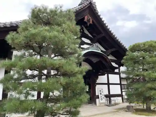 隨心院（随心院）の本殿・本堂
