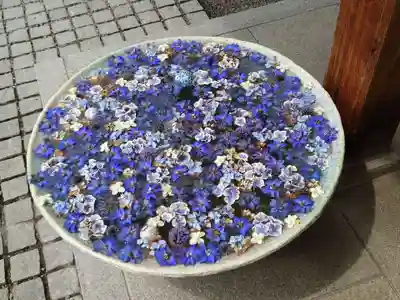 行田八幡神社の手水舎