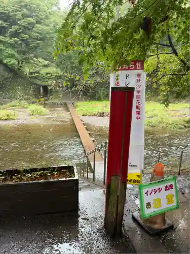 高麗神社(埼玉県)