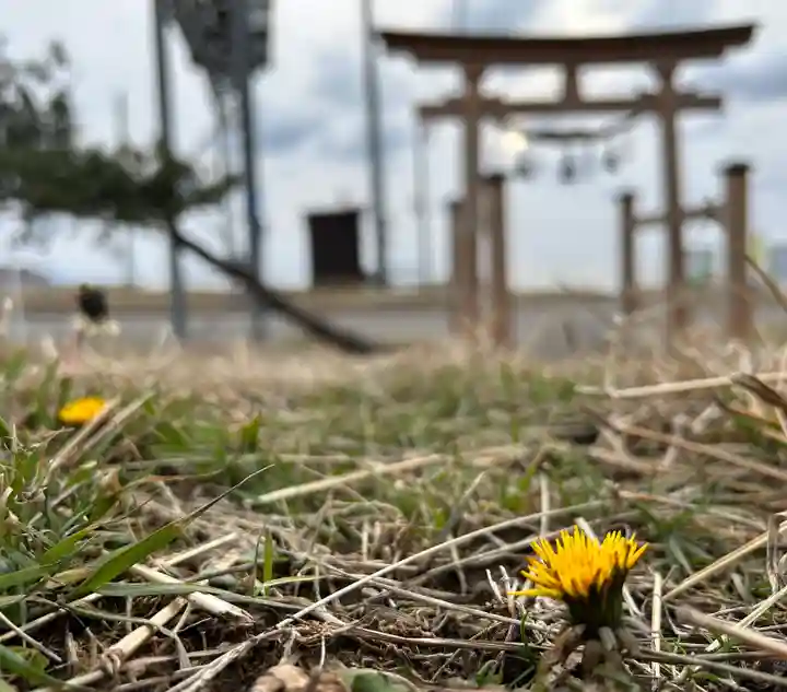 🌸乙部八幡神社(北海道)