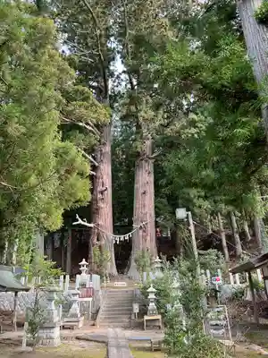 夏井諏訪神社(福島県)