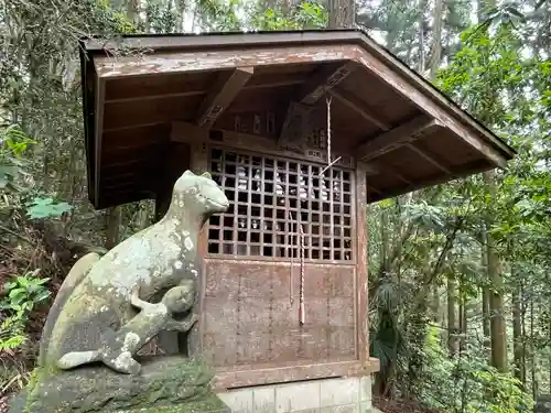 琴平神社(埼玉県)