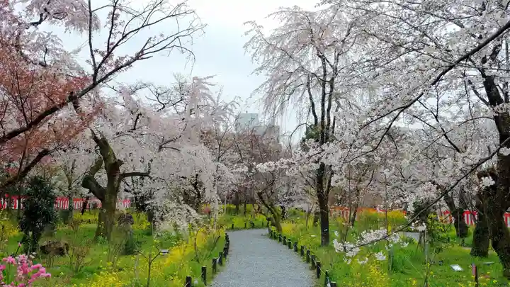平野神社の自然
