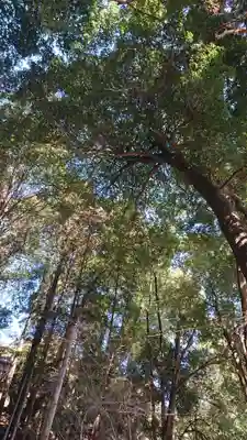 村檜神社(栃木県)