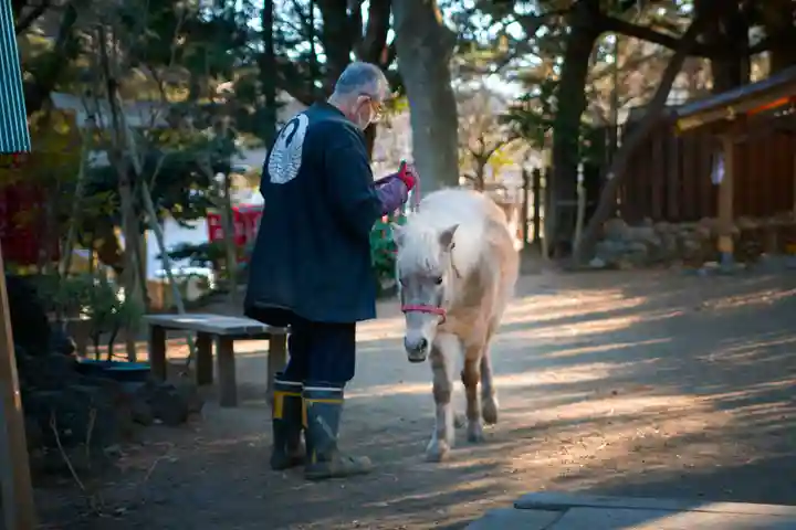 平塚八幡宮(神奈川県)