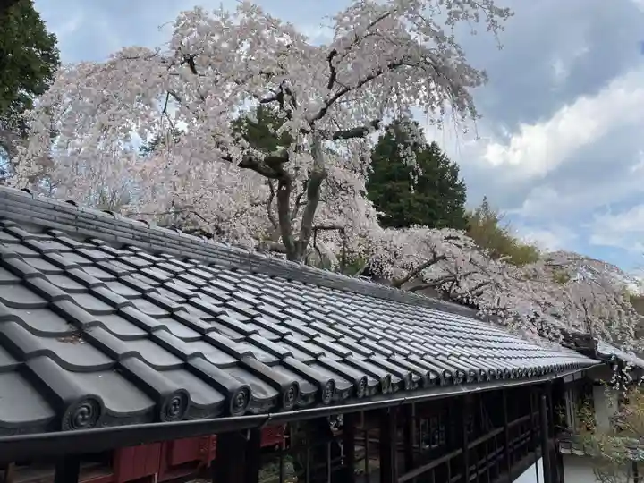 十輪寺(京都府)