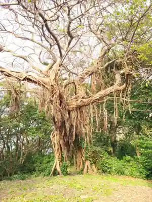 住吉神社(長崎県)