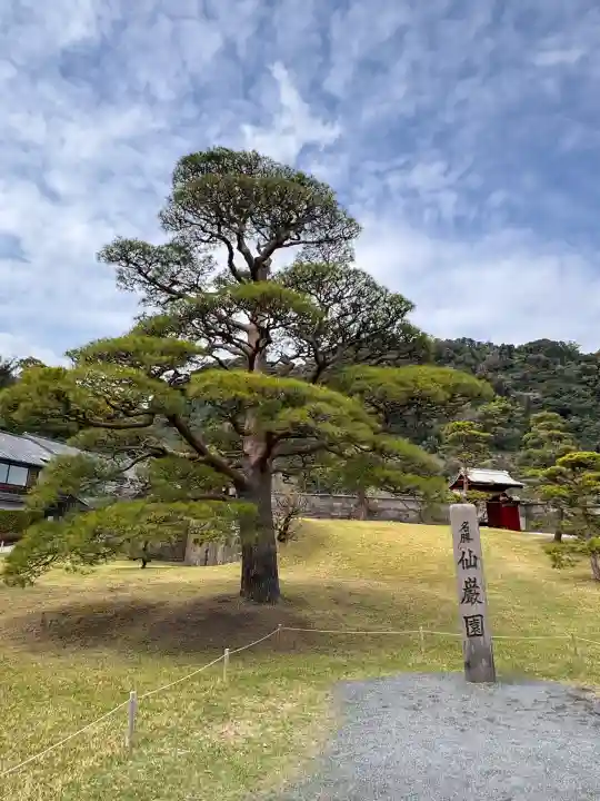 鶴嶺神社(鹿児島県)