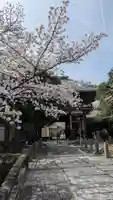 本法寺(京都府)