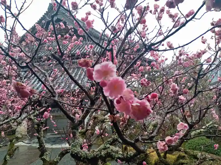 穴太寺(京都府)