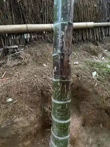野宮神社(京都府)