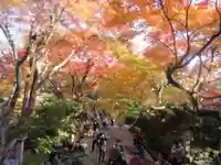 常寂光寺の自然