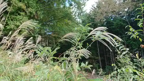 太神社(山梨県)