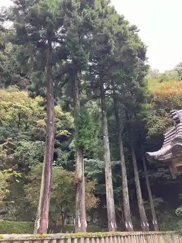 六所神社(大分県)