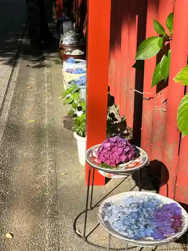 川越八幡宮(埼玉県)