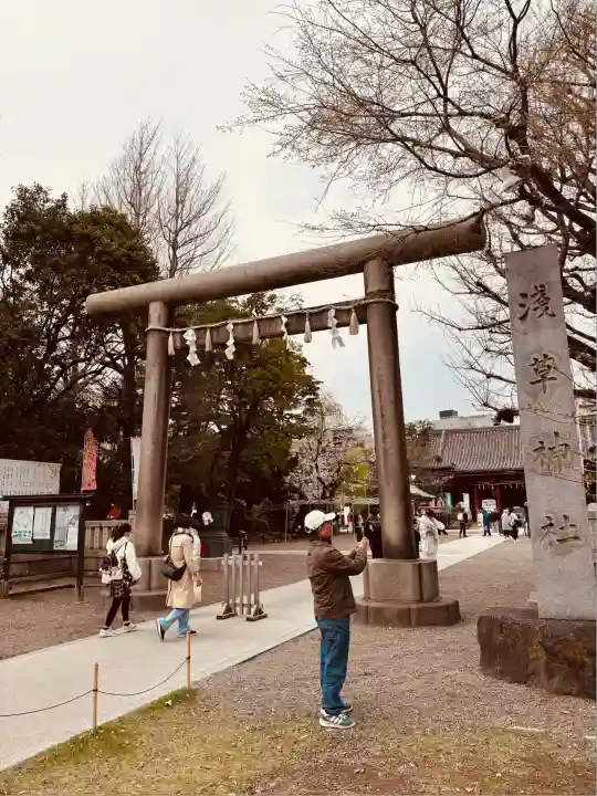 浅草神社の鳥居