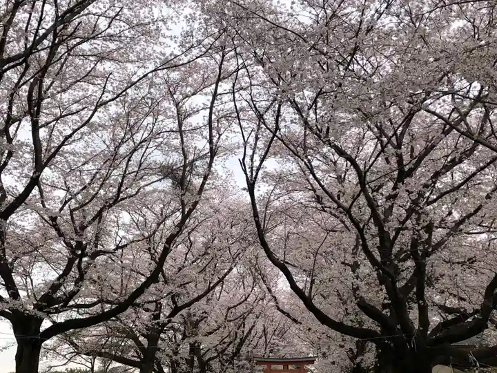 東蕗田天満社の自然