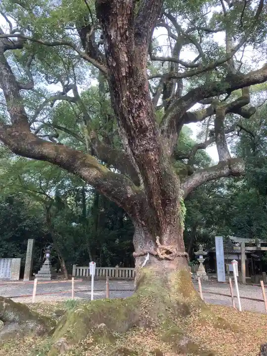 伊曽乃神社の自然