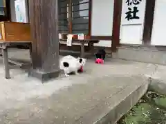 今市報徳二宮神社(栃木県)