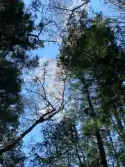 玉藻稲荷神社の自然