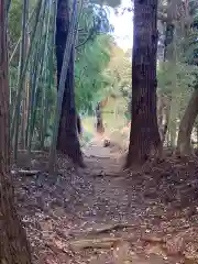 青山神社(茨城県)