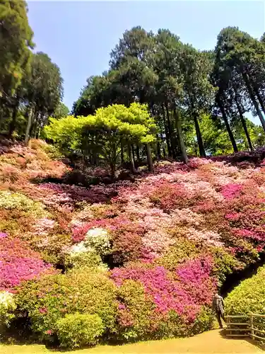大興善寺の自然