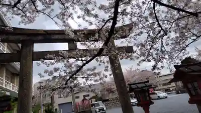 六孫王神社(京都府)