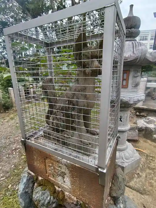 猿田彦神社(滋賀県)