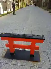 賀茂御祖神社（下鴨神社）の鳥居