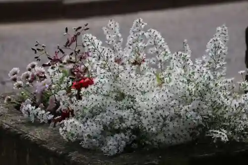 熊野福藏神社の手水