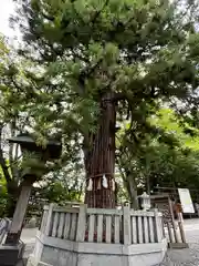 諏訪大社下社秋宮(長野県)