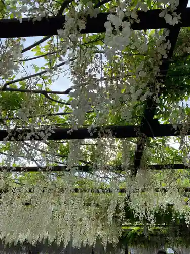 和氣神社（和気神社）の庭園