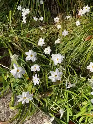 犬山寂光院(愛知県)