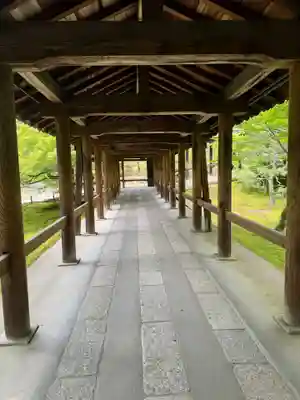 東福禅寺(東福寺)(京都府)